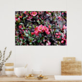 Poster Printemps Fleur Rose (Cuisine)