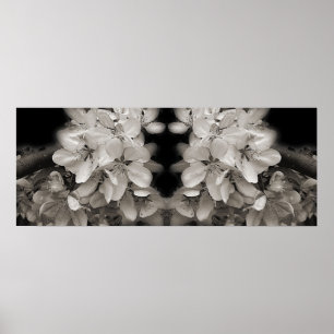 Poster Printemps Fleurit Noir Et Blanc Miroir Abstrait