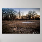 Poster Printemps Icy (Devant)