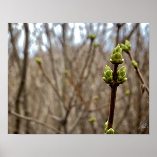 Poster Printemps [Imprimer] (Devant)