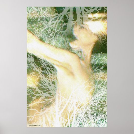 Poster Printemps par Gregory Gallo (Devant)