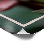 Poster PRINTEMPS Rose Lenten (Coin)