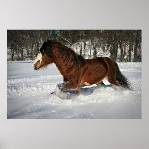 Poster Prise de lui dans le Pas-Clydesdale dans la neige