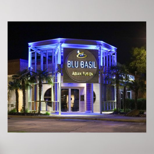 Poster Prise de vue nocturne de Blu Basil (Devant)