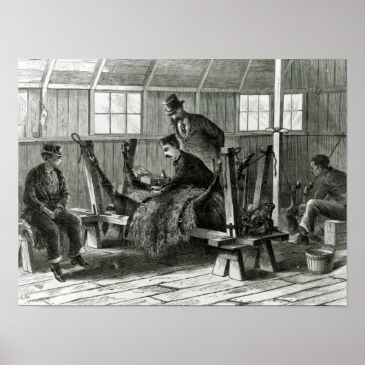 Poster Prise du virus du veau (Devant)