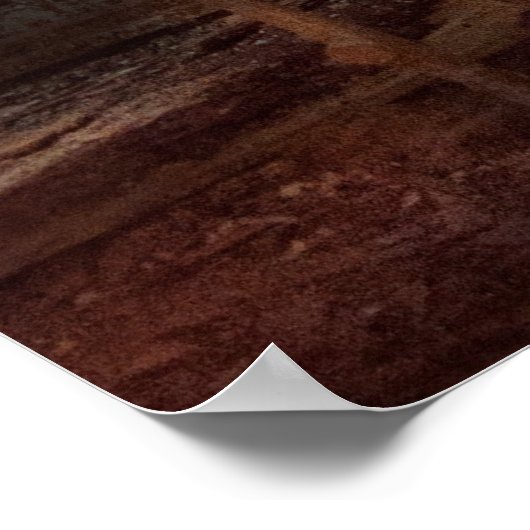 Poster Prison - Sick Bay (Coin)