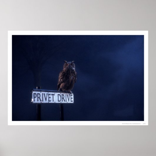 Poster Privet Drive (Devant)