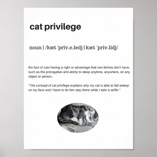 Poster Privilège de chat citation drôle blanc (Devant)