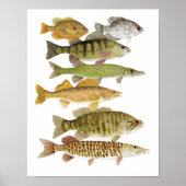 Poster Prix de l'eau douce (Devant)