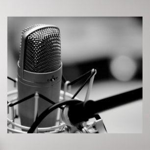 POSTER PRO MICROPHONE
