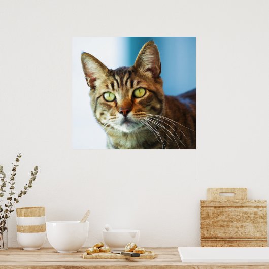 Poster Problème (Cuisine)