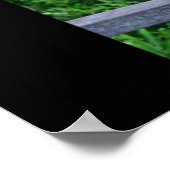 Poster Proboscis Monkey - Parfois je m'assois et je pense (Coin)