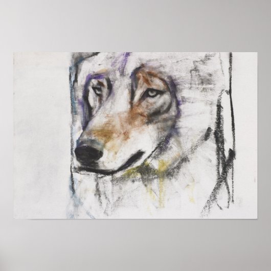 Poster Processo Al Lupo (Devant)
