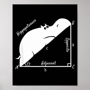 Poster Prof de maths drôle, Hiptenuse drôle, professeur d