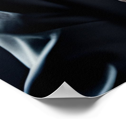 Poster Professeur fou fou avec barbe (Coin)