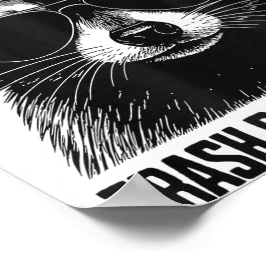 Poster Professional Trash Panda Trainer (Coin)