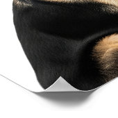 Poster Profil berger allemand (Coin)