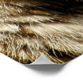 Poster Profil Bobcat (Coin)