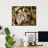 Poster Profil Bobcat (Bureau à domicile)
