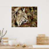 Poster Profil Bobcat (Cuisine)
