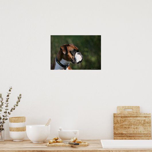 Poster Profil côté chien de boxe (Cuisine)