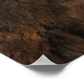 Poster Profil de Buffalo (Coin)