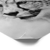Poster Profil de Cheetah (Coin)