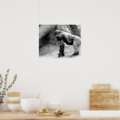 Poster Profil de Gorilla masculin en noir et blanc (Cuisine)