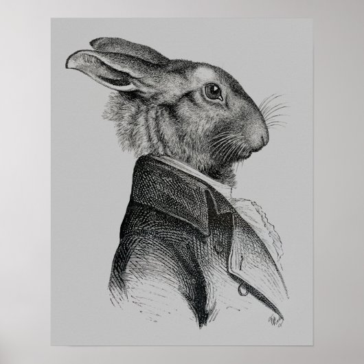 Poster Profil de portrait de lapin (Devant)
