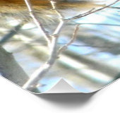 Poster Profil d'écureuil Fox (Coin)