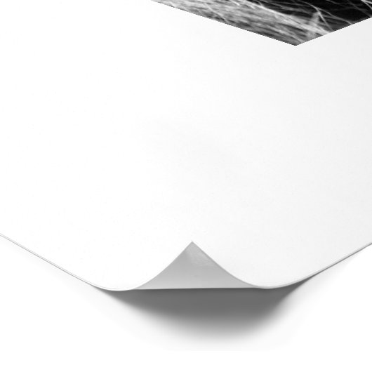 Poster Profil du lion (Coin)