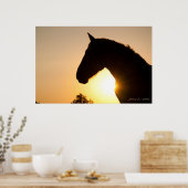 Poster Profil d'un cheval belge (Cuisine)