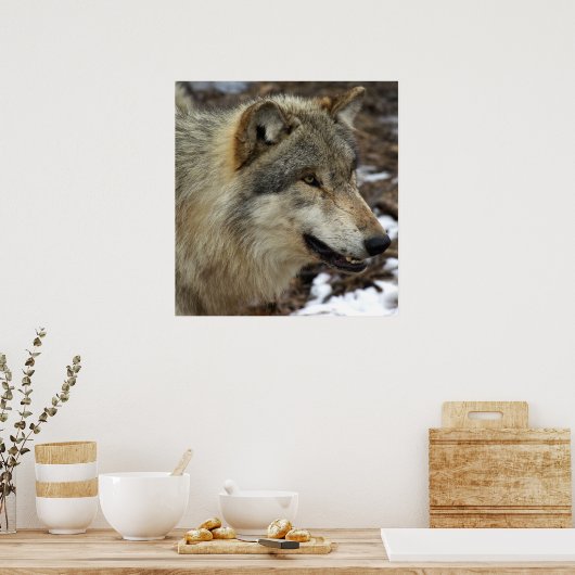 Poster Profil d'un loup (Cuisine)
