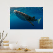 Poster Profil d'un requin baleine, Indonésie (Cuisine)