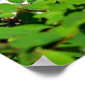 Poster Profil d'une cuve à coyote (Coin)