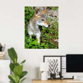 Poster Profil d'une cuve à coyote (Bureau à domicile)