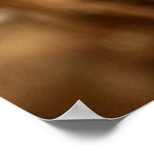 Poster Profil d'une Lynx canadienne (Coin)