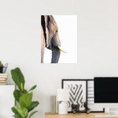 Poster Profil éléphant portrait animal de la jungle (Bureau à domicile)