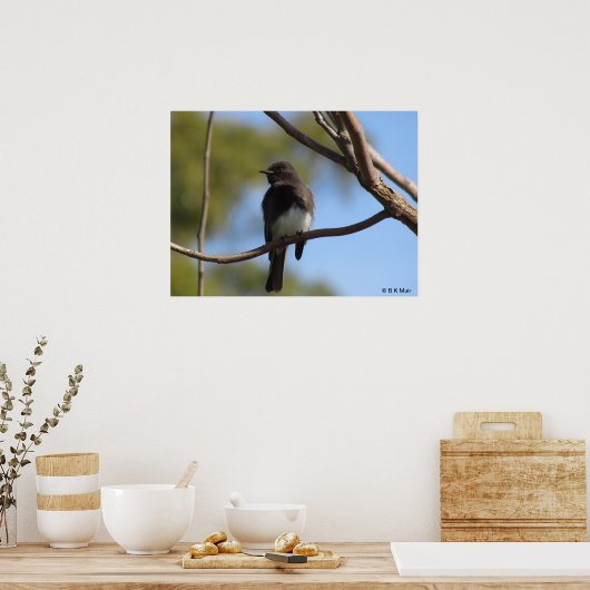 Poster - Profil Flycatcher (Cuisine)
