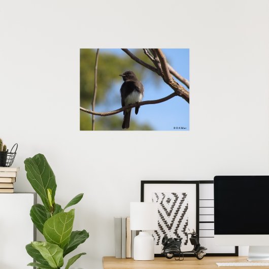 Poster - Profil Flycatcher (Bureau à domicile)