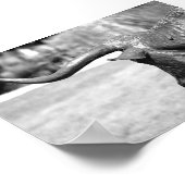 Poster Profil Longhorn (Coin)