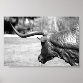 Poster Profil Longhorn (Devant)