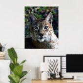 Poster Profil Lynx de Sibérie (Bureau à domicile)