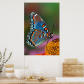 Poster Profil papillon sur une fleur (Cuisine)