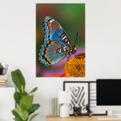 Poster Profil papillon sur une fleur (Bureau à domicile)