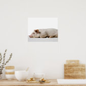 Poster Profil Piglet Lying Down (Cuisine)