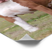 Poster Profilage racial (Coin)