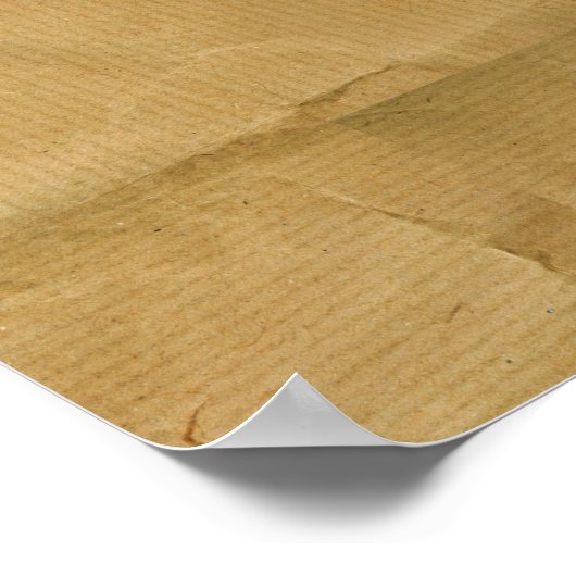 POSTER PROFILE (Coin)