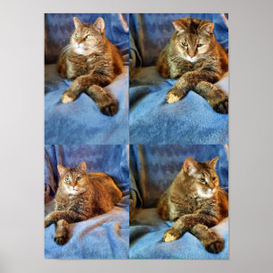 POSTER PROFONDE DANS LA CUISINE PENSÉE