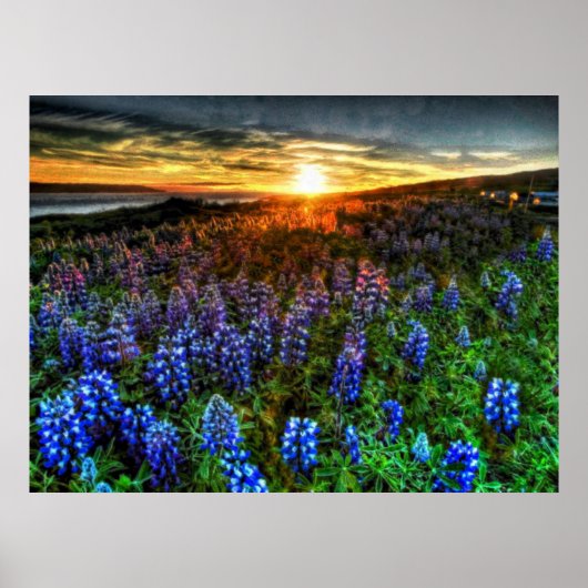 Poster Profondeur 58 (Devant)